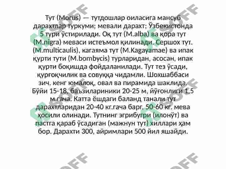 Tutdoshlar oilasi va ularning shifobaxshlik xususiyatlari 3