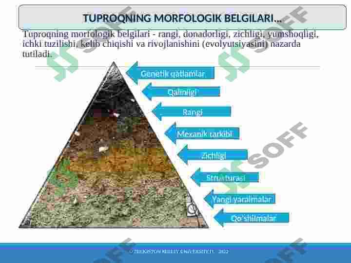 Tuproq morfologiyasi va tarkibi 3