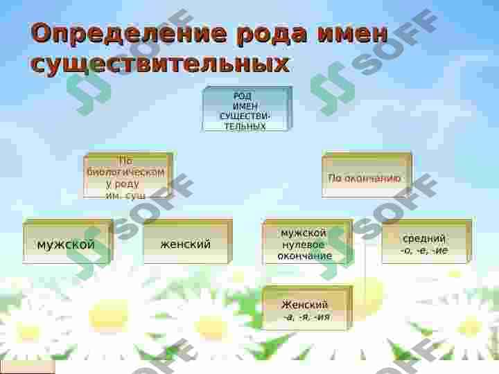 Род имен существительных 3