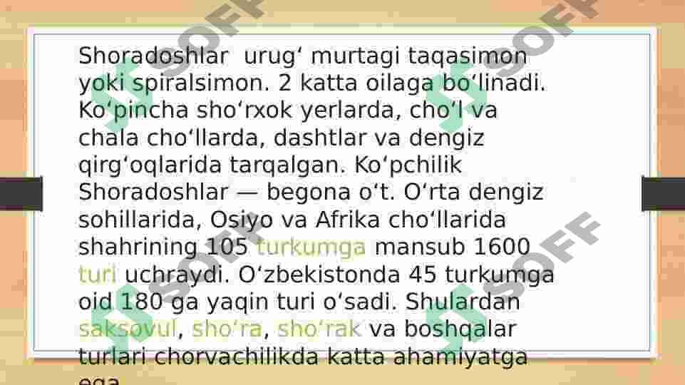Sho‘radoshlar oilasi 3