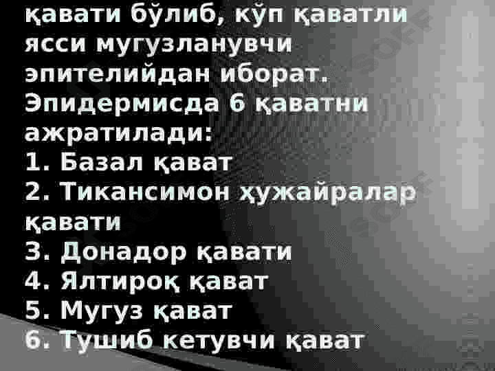 Teri gistalogiyasi 3