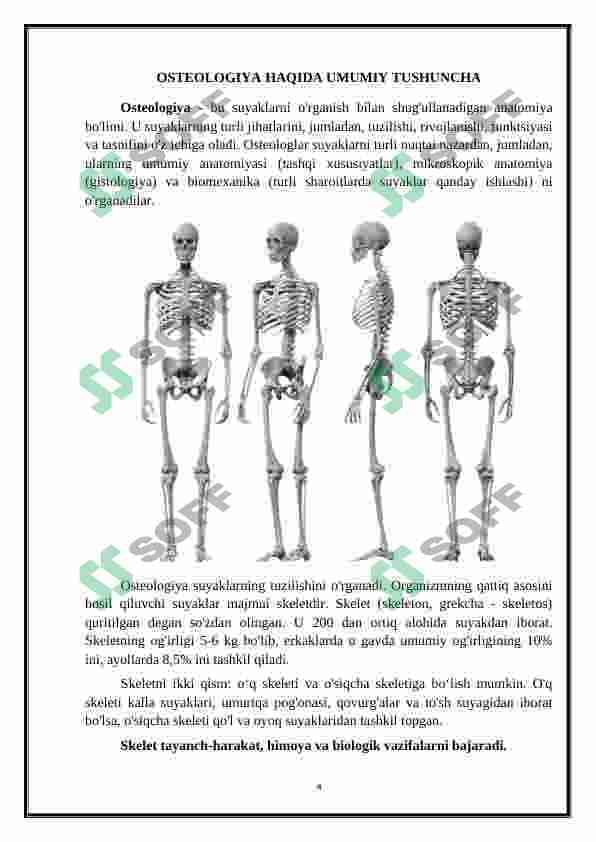 OSTEOLOGIYA - SUYAKLAR HAQIDA TA'LIMOT 3