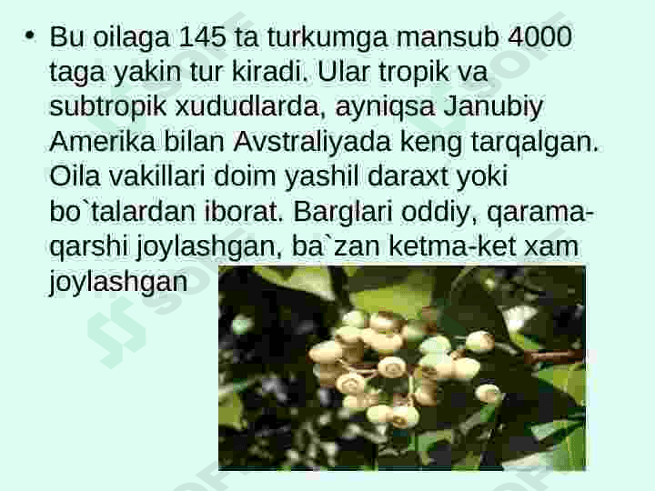 mirtanamolar qabilasi 3