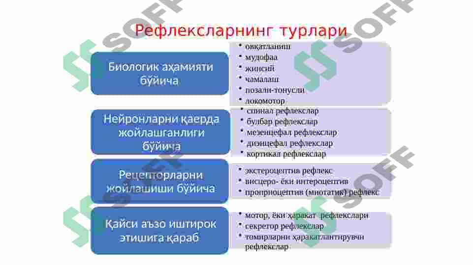 Insonda turli shartsiz reflekslarni kuzatish 3