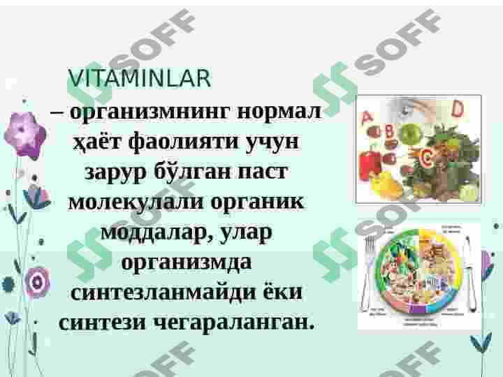Vitamin saqlovchi dorivor oʻsimliklar 3