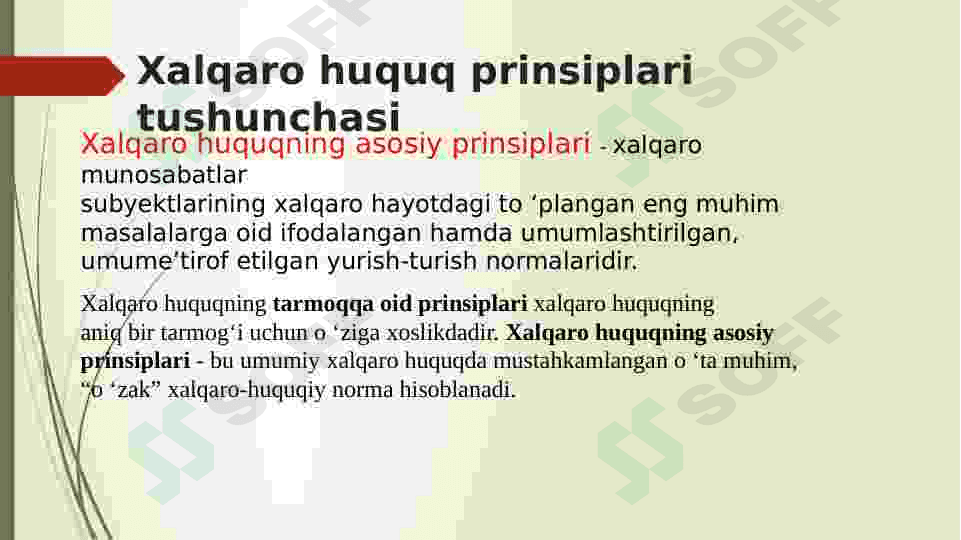 Xalqaro huquq prinsiplari 3