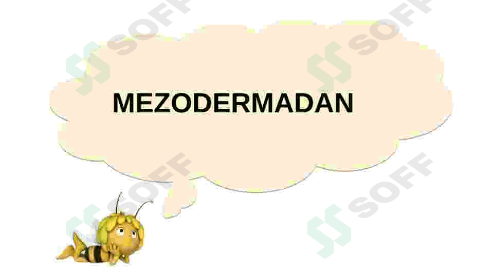 HAYVONLARNING HAZM QILISH ORGANLARI EVOLUTSIYASI 3