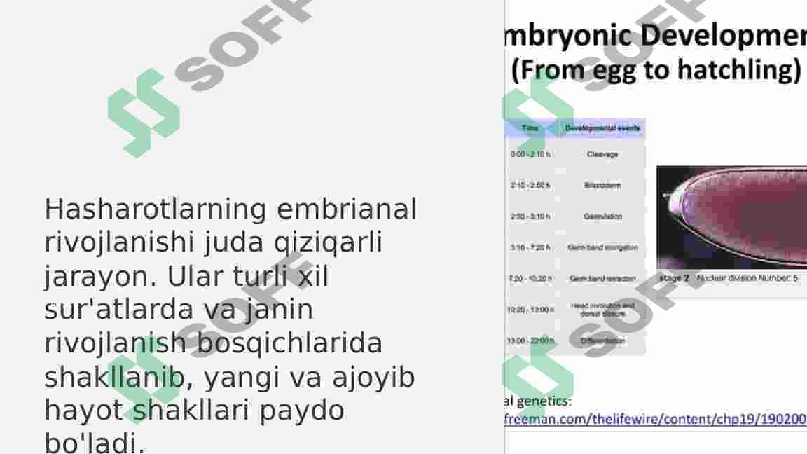 Hasharotlarning embrianal rivojlanishi 3