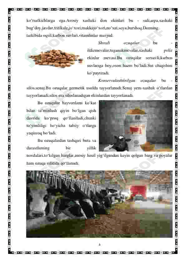 Nasildor buqalarni oziqlantirish usullari 3