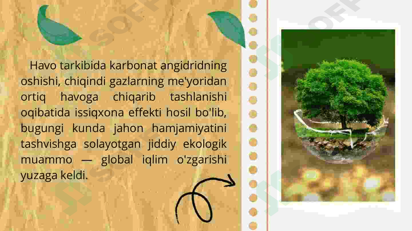 Global ekologik muammolar va ularning yechimi 3
