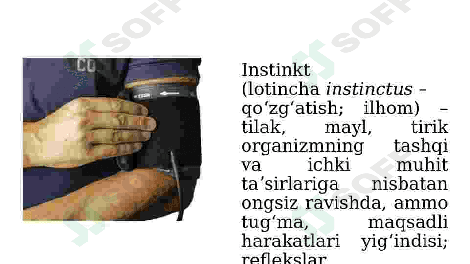 Instinktlar. Instinkt tushunchasining mazmuni 3