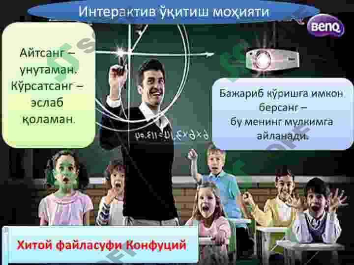 Tomirlar tizimi tuzulishi 4