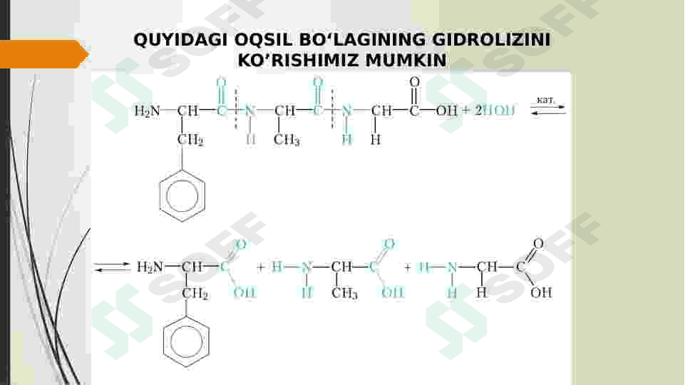 OQSILLARNING TUZULISHI VA XUSUSIYATLARI 4