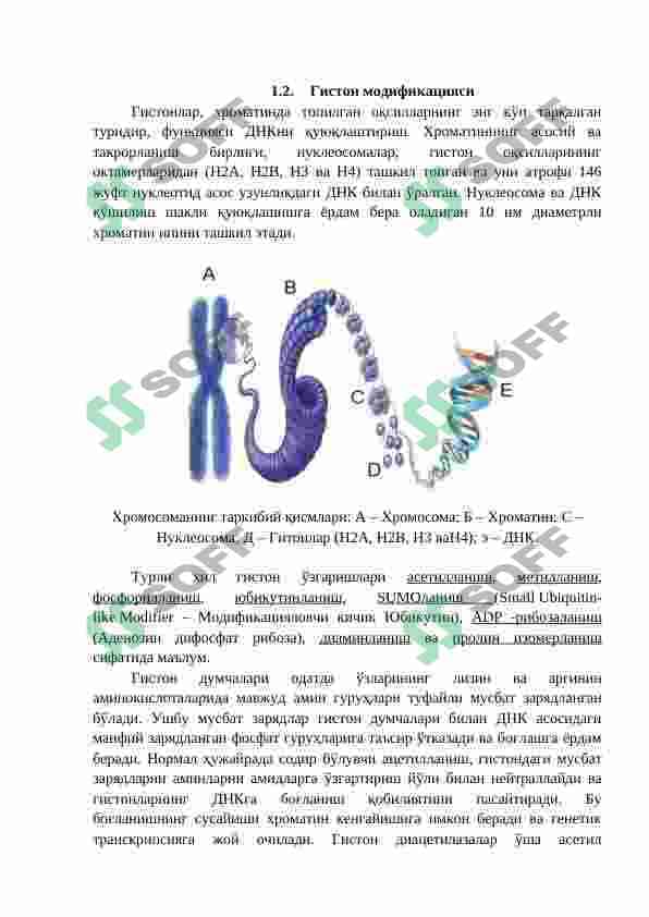 Epigenomika haqida umumiy tushuncha 4