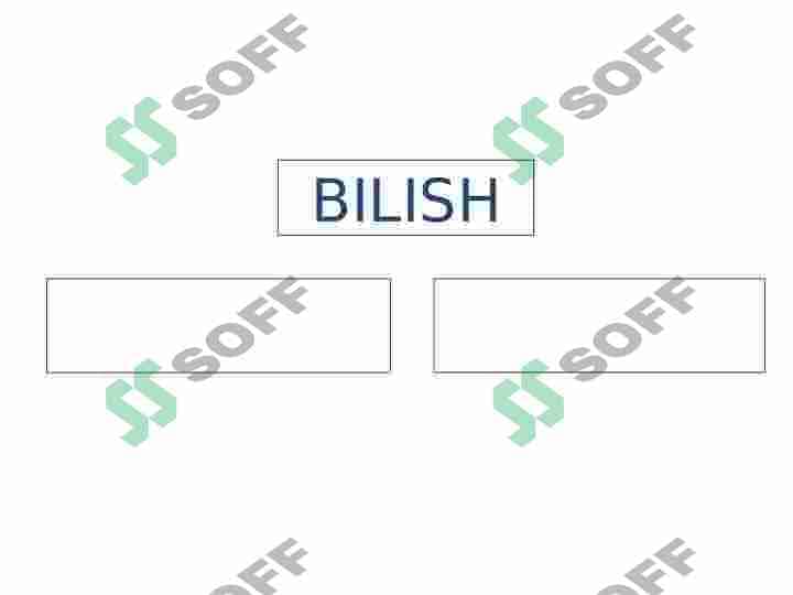 Gnoseologiya-bilish nazariyasi 4
