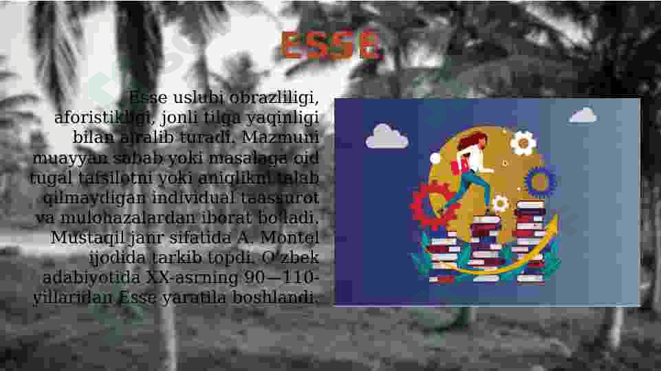 Essening o'ziga xos xusisiyatlari, Esse yozishdagi talablar 4