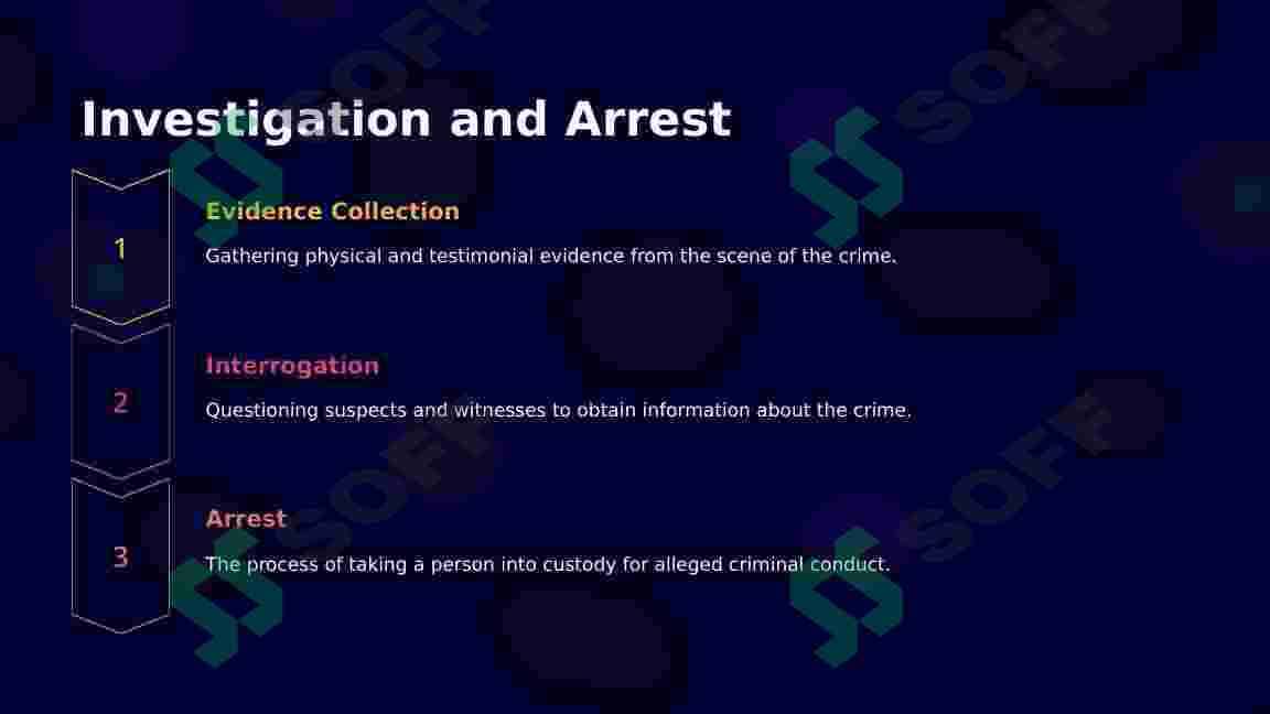 Introduction to Crime and Justice 4