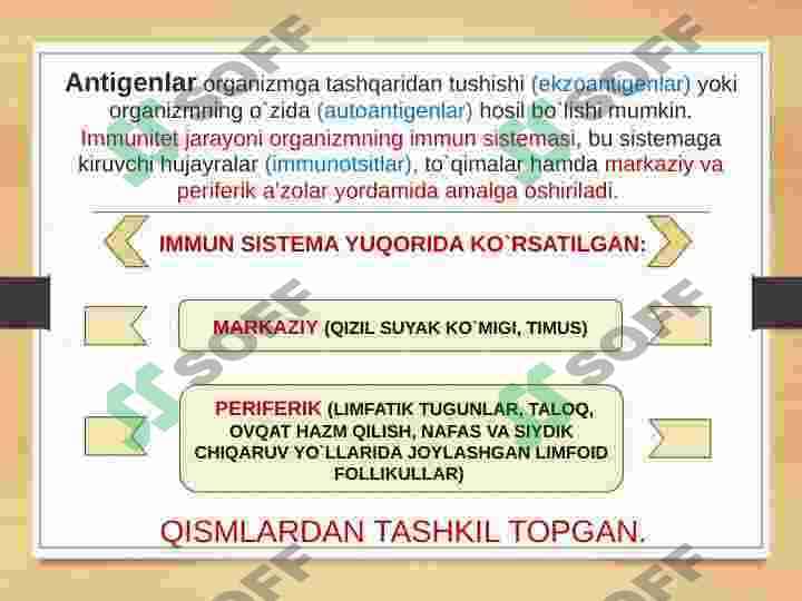 ORGANIZM IMMUM SISTEMASI 4