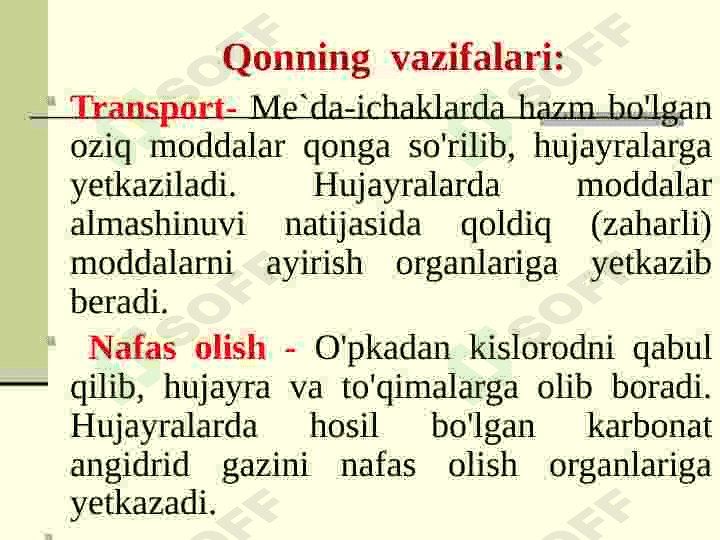Qon tomir va limfa tizimi 4