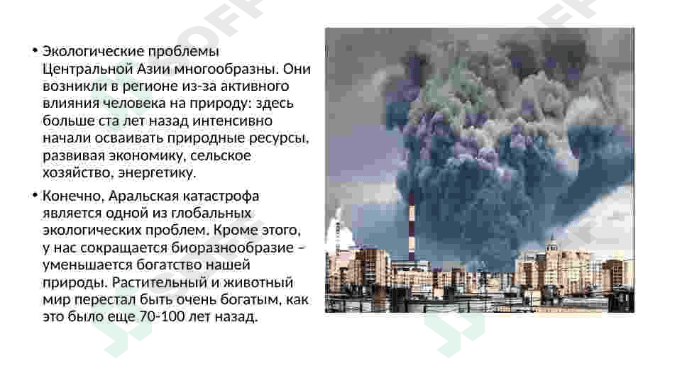 Екологические проблемы 4