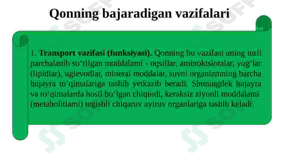 Qon fiziologiyasi 4