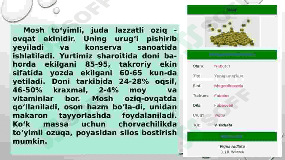 dukkakdoshlar oilasi 4