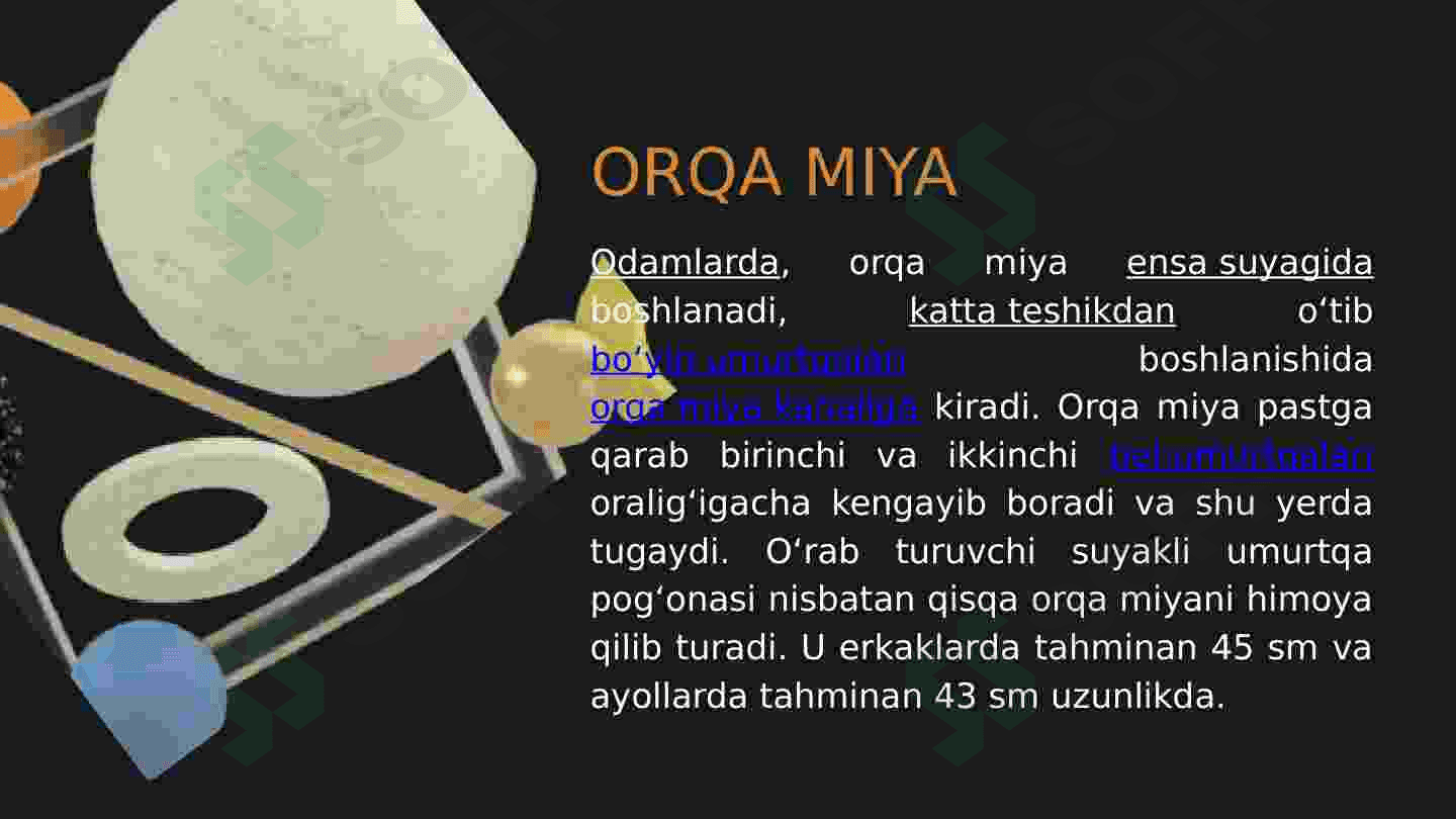 Orqa miyaning umumiy tuzulishi va yosh xususiyatlari 4