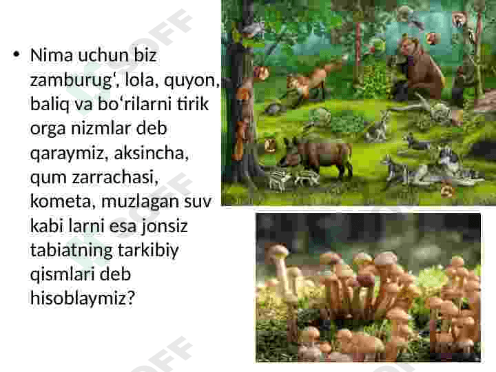 Tirik organizmlarning o‘ziga xos xususiyatlari 4