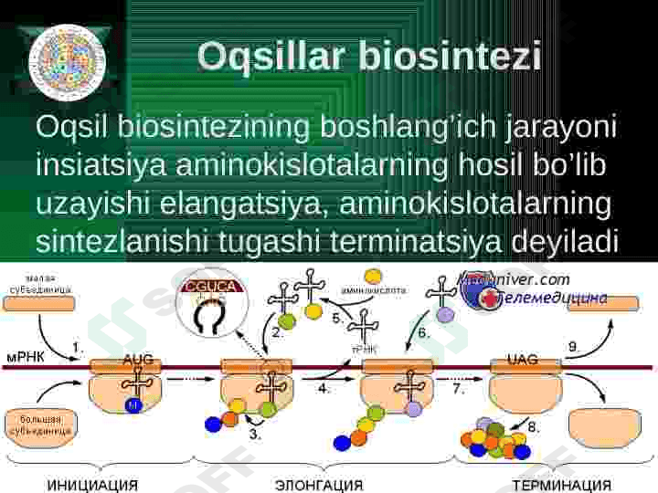 Plastik almashinuv. Oqsillar biosintezi. Genetik kod. 4