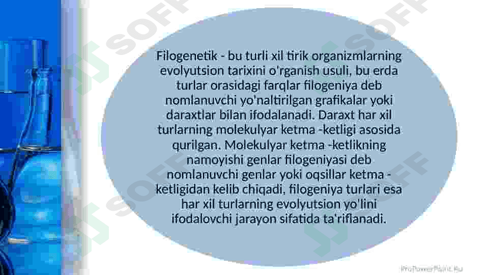 Mega X dasturida filigenetik daraxt yaratish 4
