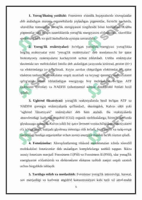 Plastida pigmentlari va ularning fotosintezdagi roli 4
