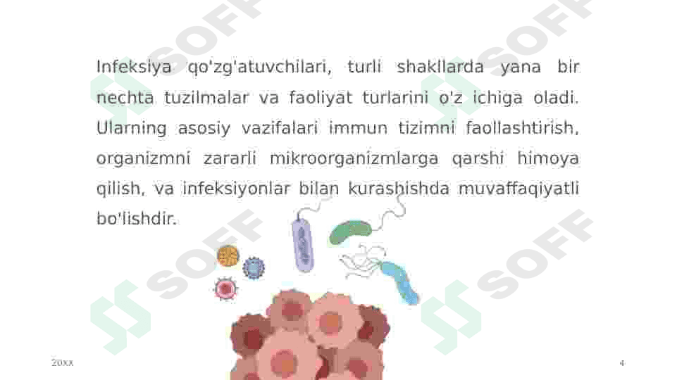 Ichak infeksiya qo’zg’atuvchilari 4