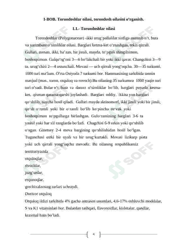 Torondoshlar oilasi 4
