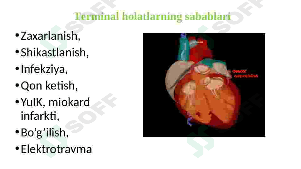Reanimatsiya asoslari 4