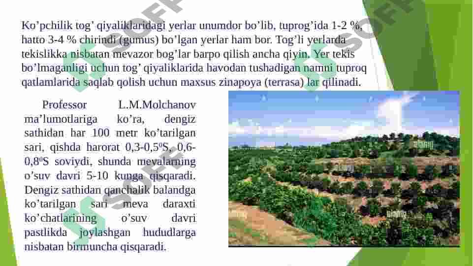 Tog’li yerlarda mevachilik 4
