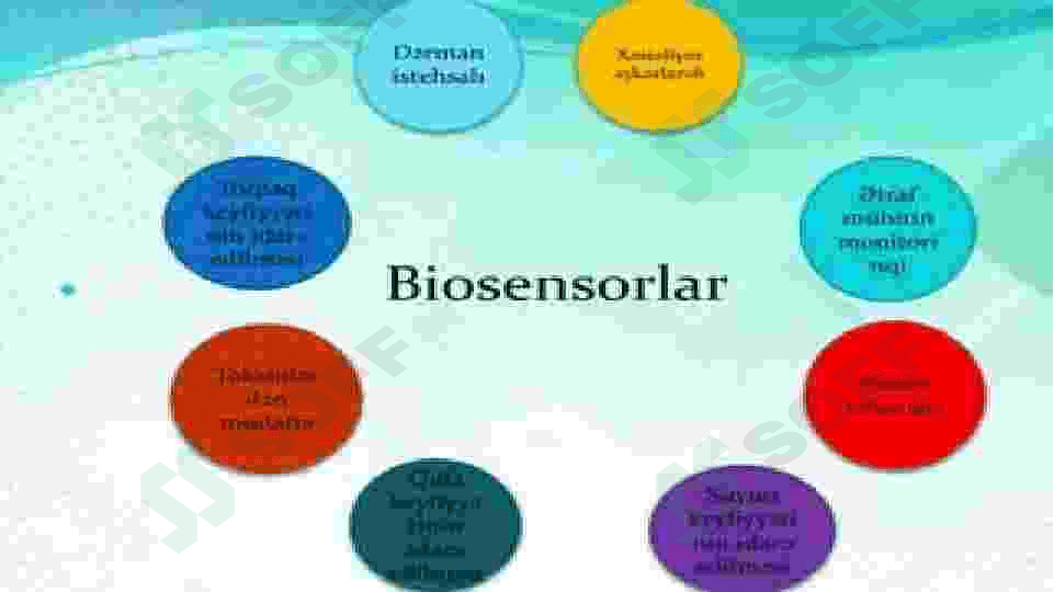 Fermentli biosensorlarning oziq ovqat sanoatida qoʻllanilishi 4