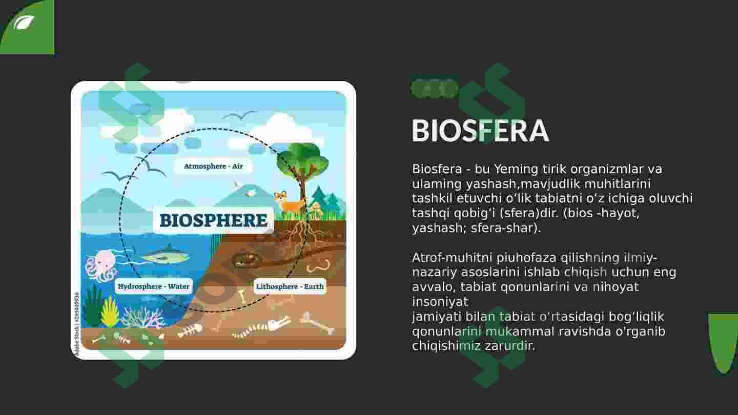BIOSFERANING ASOSIY  FUNKSIYALARI VA TARKIBI. 4