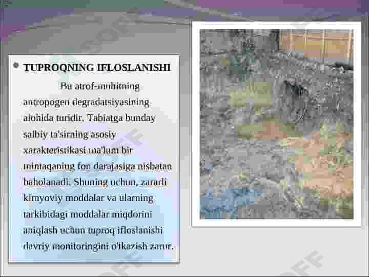 Tuproq ifloslanishi monitoringi 4