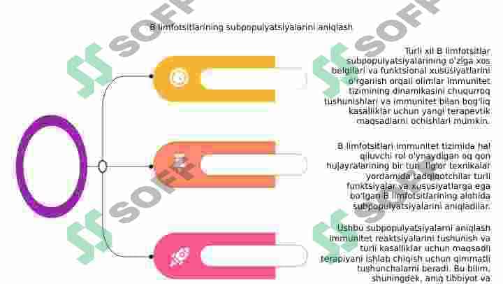 B limfotsitlar subpopulyatsiyasi 4