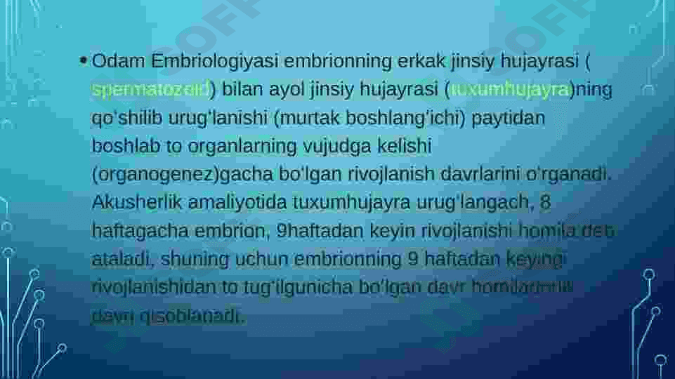 Embrional rivojlanish. Urug’lanish. Maydalanish. Gastriluatsiya. 4