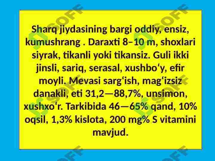 Jiydadoshlar oilasi va ularning dorivorlik xususiyatlari 4