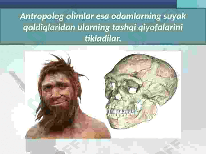 Eng qadimgi odamlar va ularning manzilgohlari 4