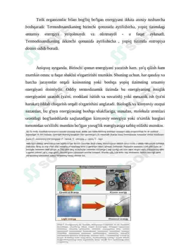 Tirik organizmlar uchun “Termodinamikaning birinchi qonuni 4