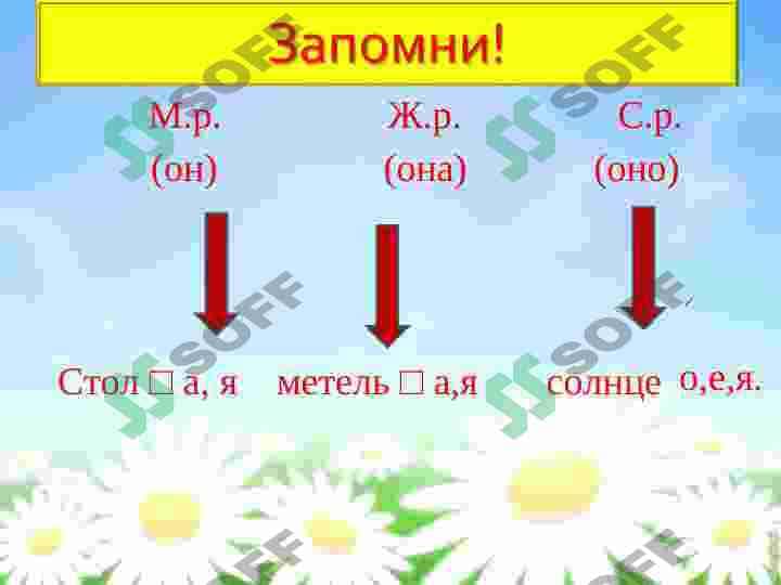 Род имен существительных 4