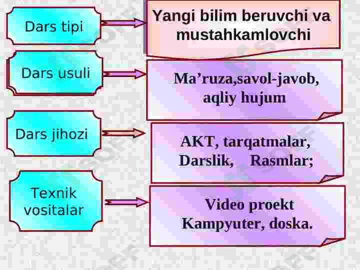 Bosh miya katta yarim sharlari. 4