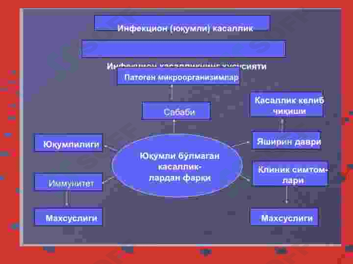 Infeksiya. Infeksiya haqida tushuncha. Infeksion jarayonlar 4