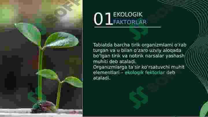 ANTROPOGEN O'ZGARISHLAR, ULARNING SINFLANISHI VA FORMALARI. 4