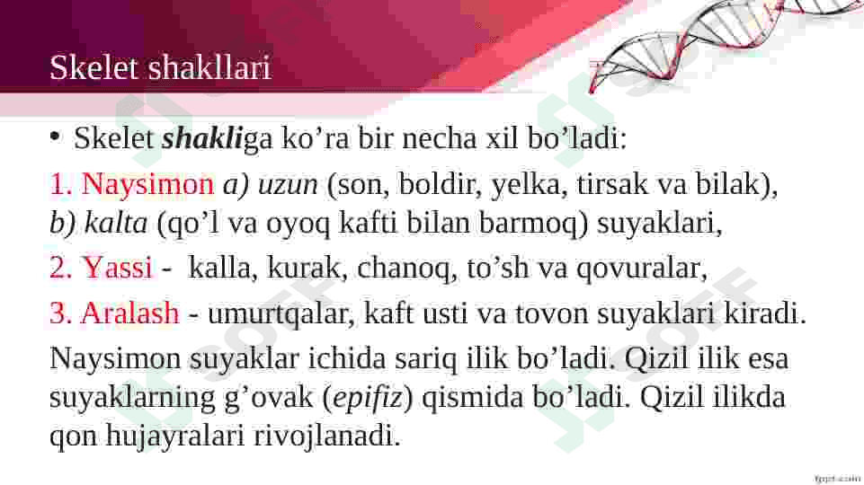 Tayanch va harakatlanish organlari. 4