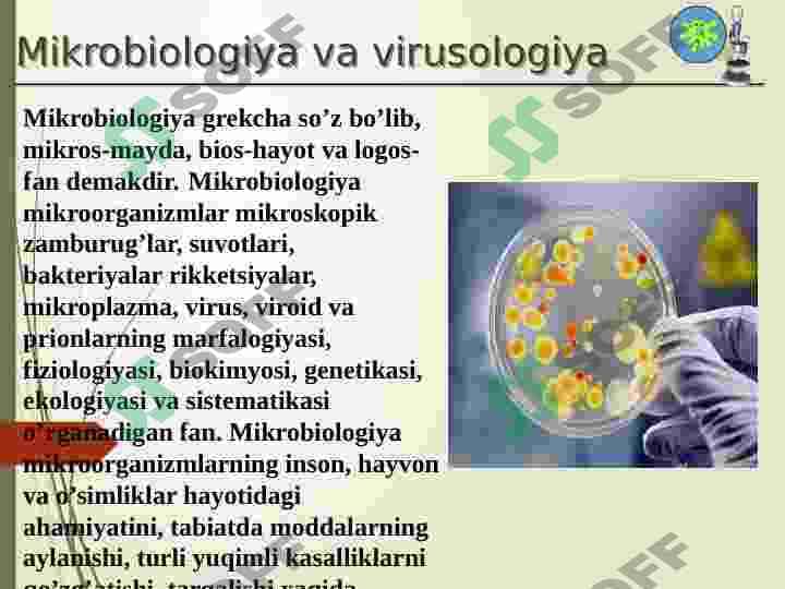 Bakteriyalarni ôstirishning asosiy prinsipi 4