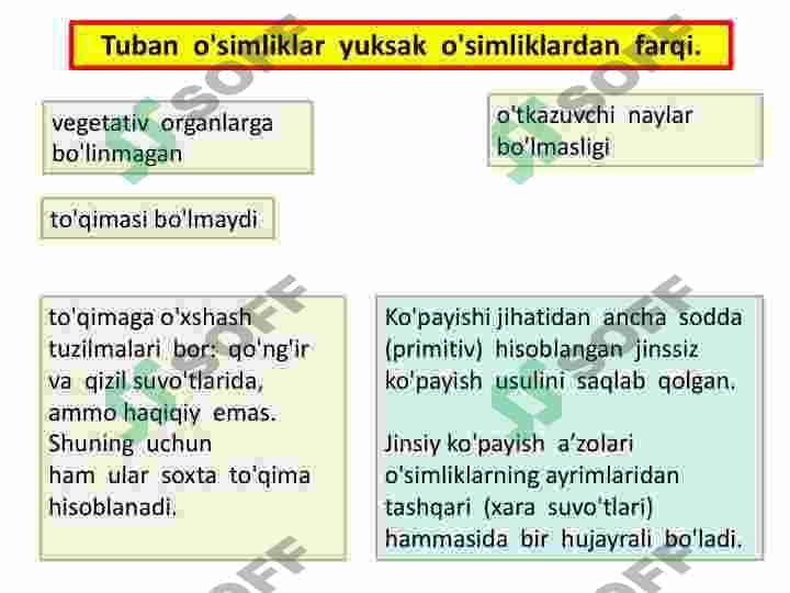 Koʻk yashil suvoʻtlar sinf 4